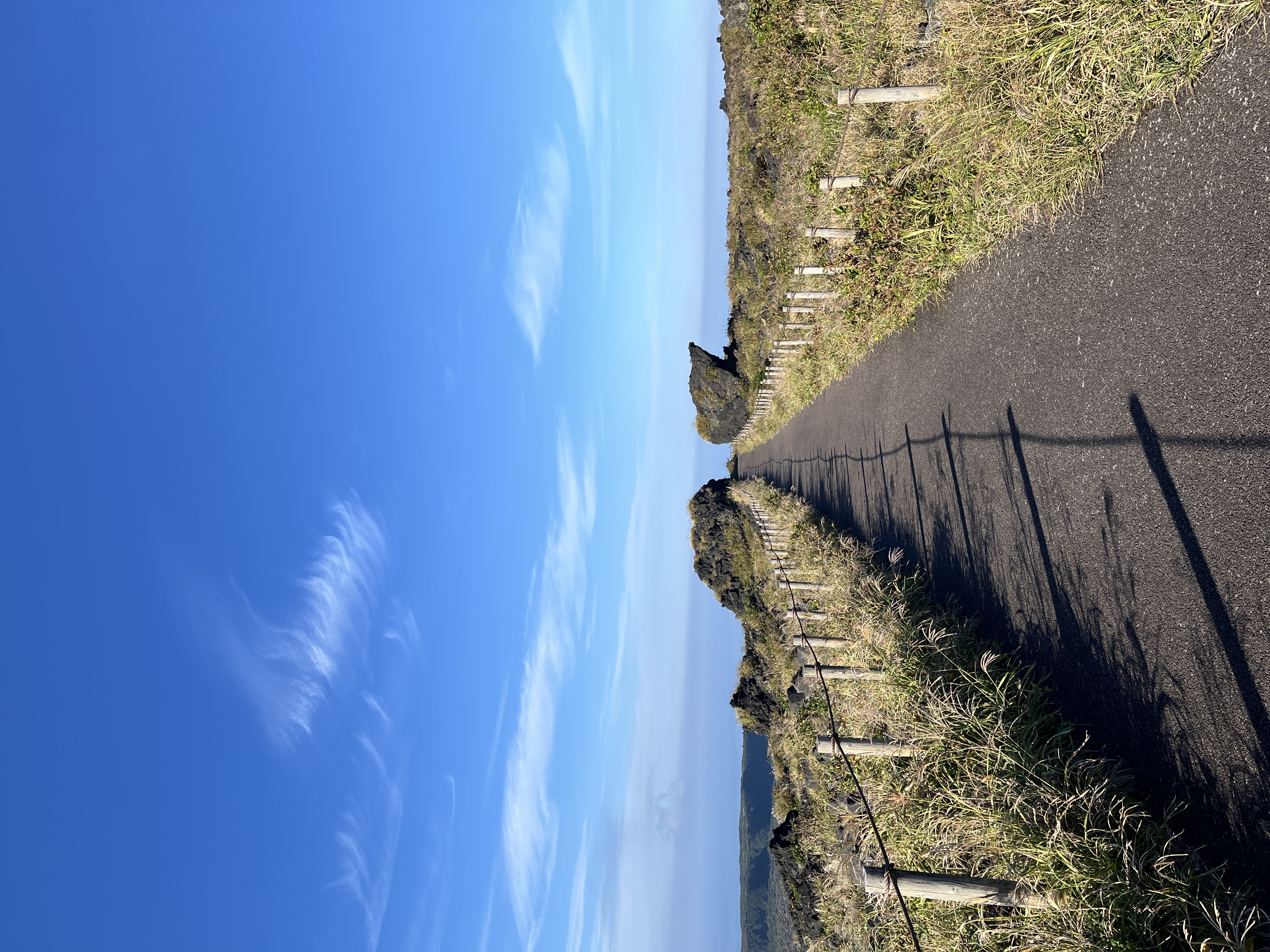 大島の広大な自然