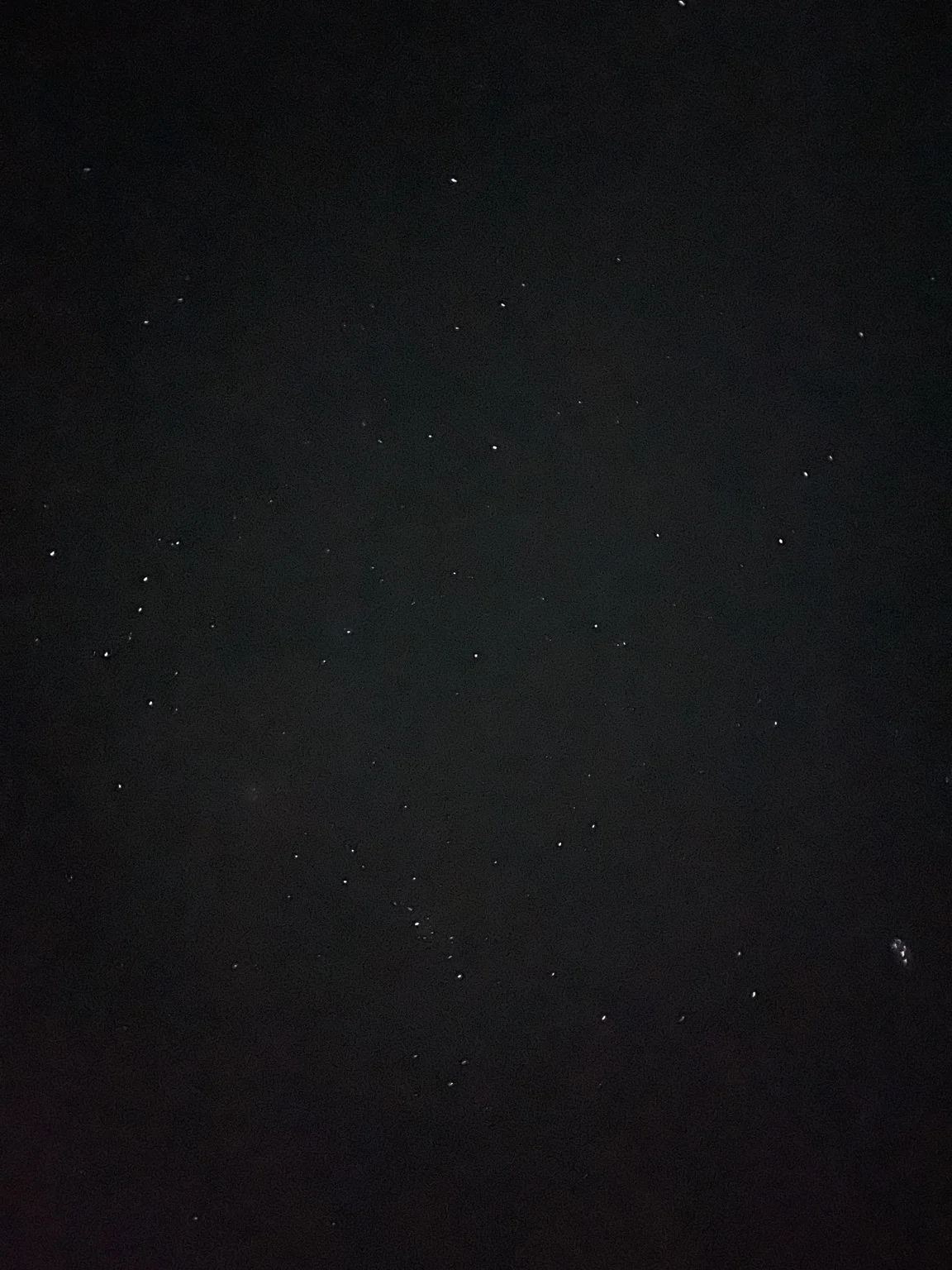 夜空いっぱいに広がる星